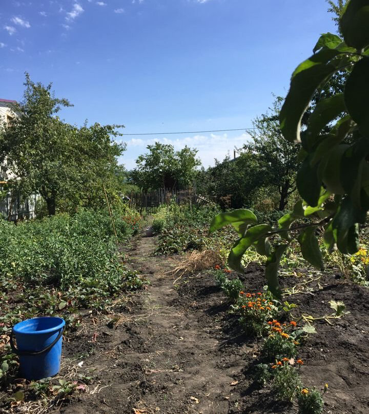 Один из участков который я смотрел