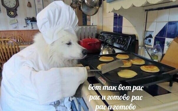 рас рас и готово