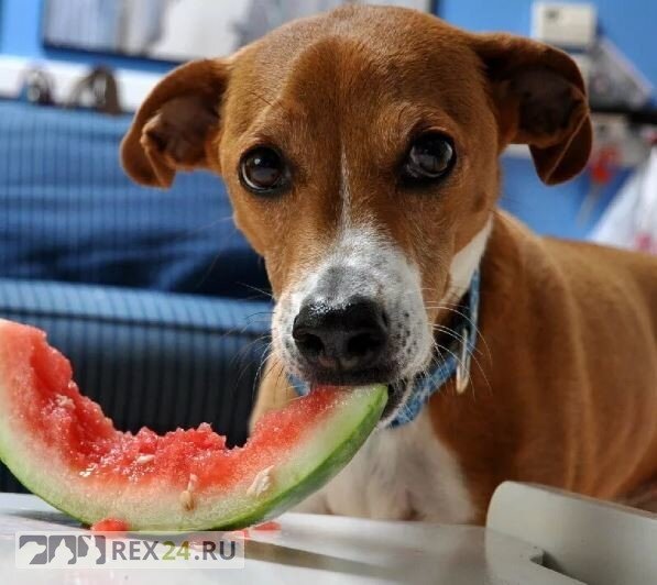 Фото: yandex.ru