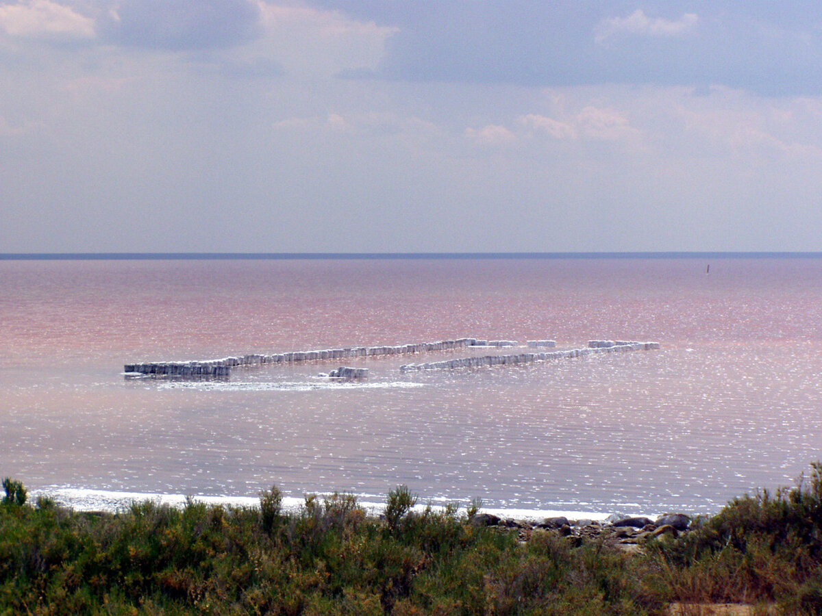 Команда телевизионщиков посетит озеро Эльтон, чтобы показать его во всей красе