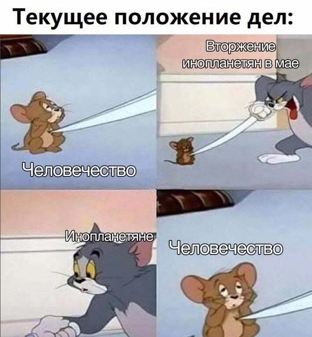 Мемы том и джерри