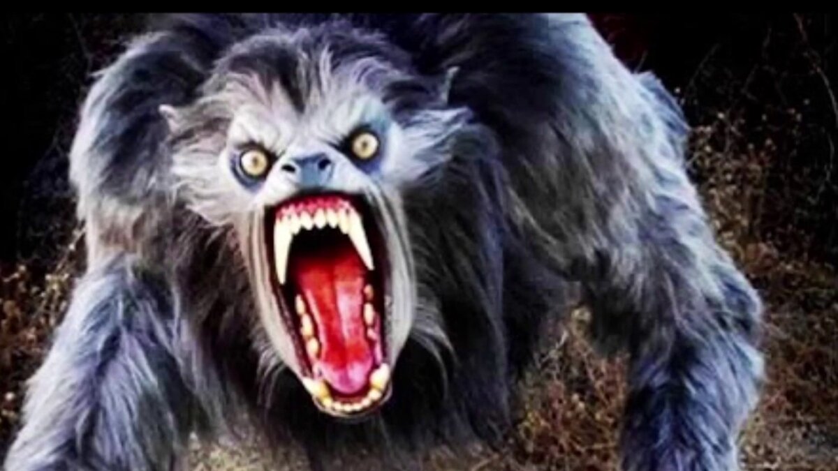 Фото с яндекс картинок