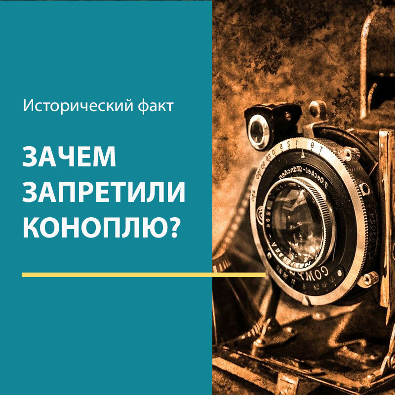 Почему запретили коноплю...