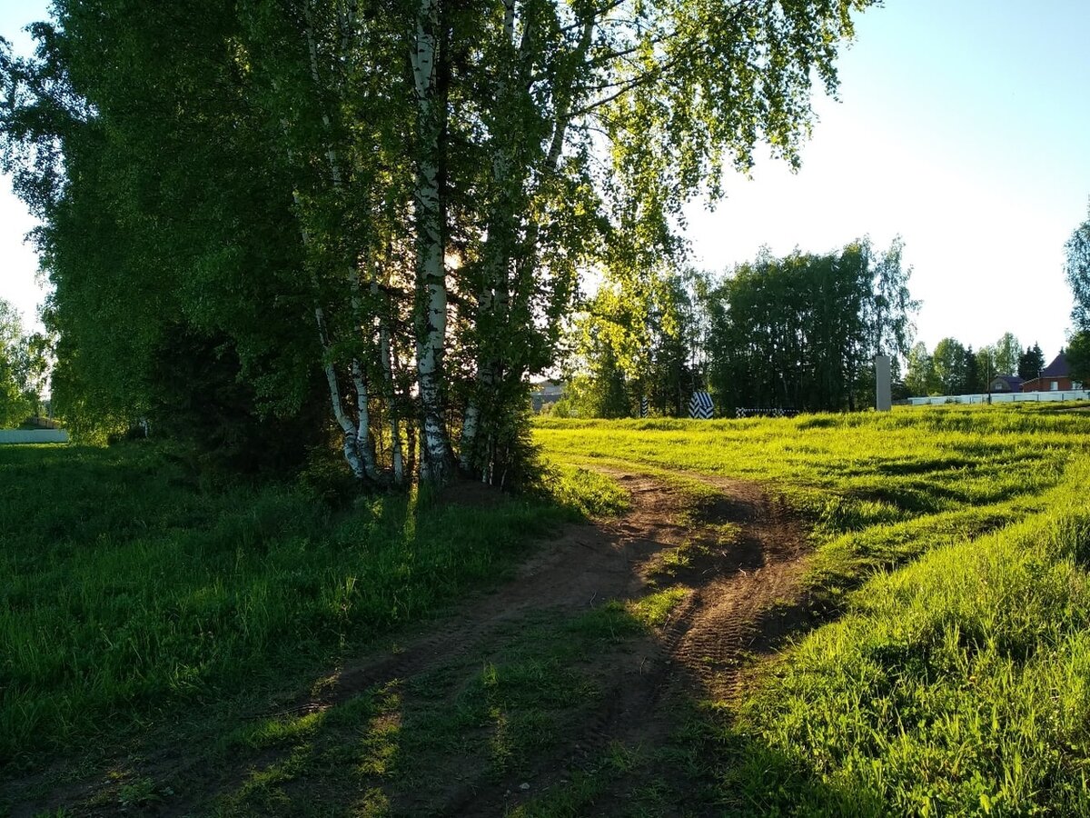 Расположиться неподалеку на нескошенной траве