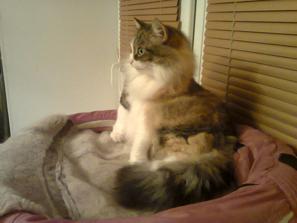 Фото из личного архива автора.