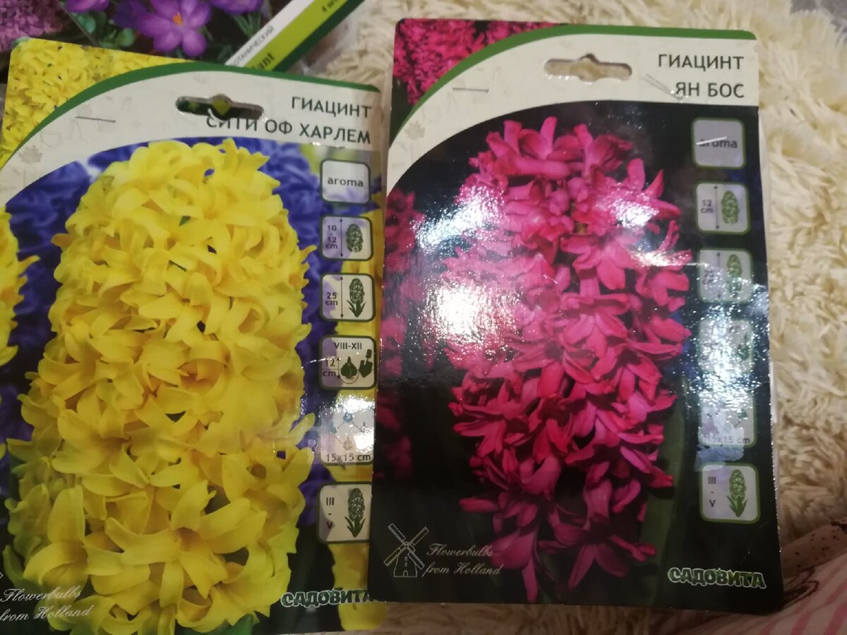 Посадочный материал приобретался в разных магазинах - и подороже...