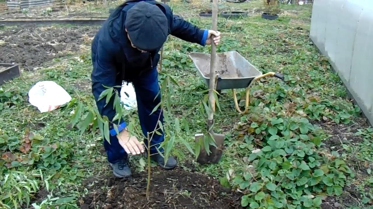 Холм по уровню руки
