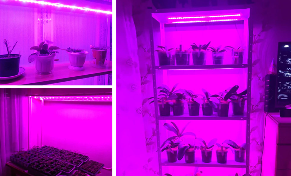 Выключать ли фитолампу на ночь. LUMIGROW Pro 325 фитолампа. Фитолампа для орхидей Happy Flo. Фитолампа на стеллаже. Подставка для фитоламп.