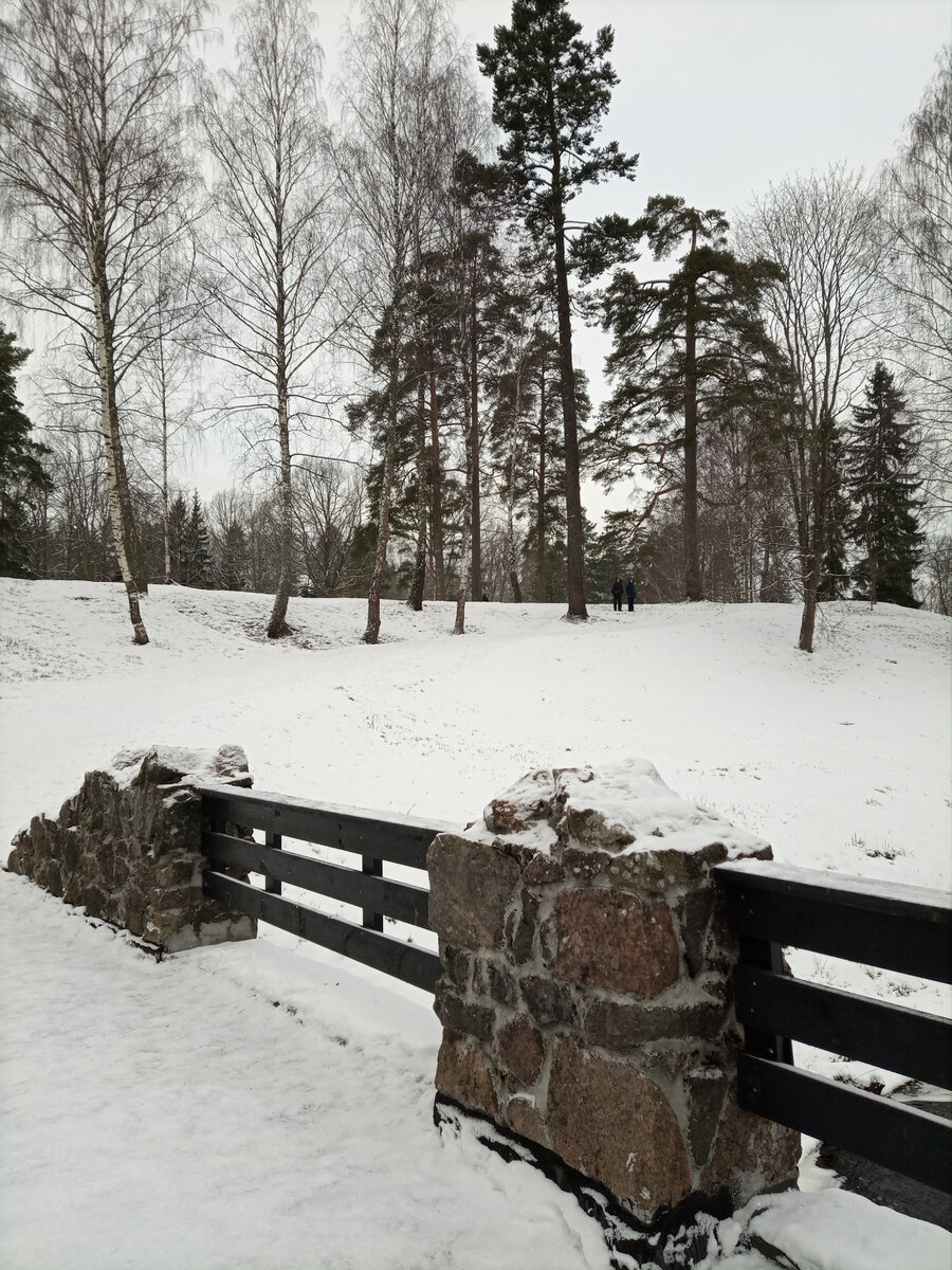 парк ораниенбаум зимой