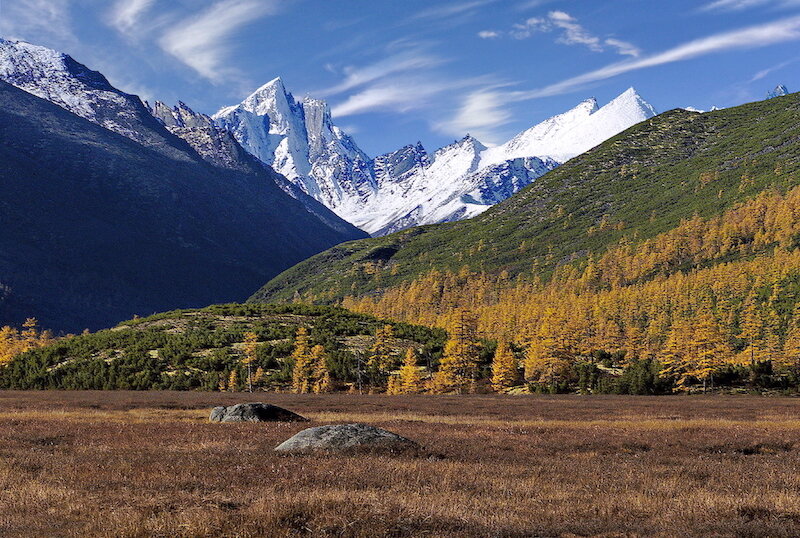 Фото: Александр Шафранов