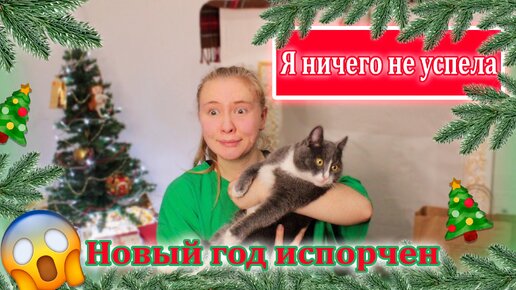 Как я чуть не опоздала на Новый год😱 НОВОГОДНИЙ ПЕРЕПОЛОХ. Приборка и подготовка к НГ.