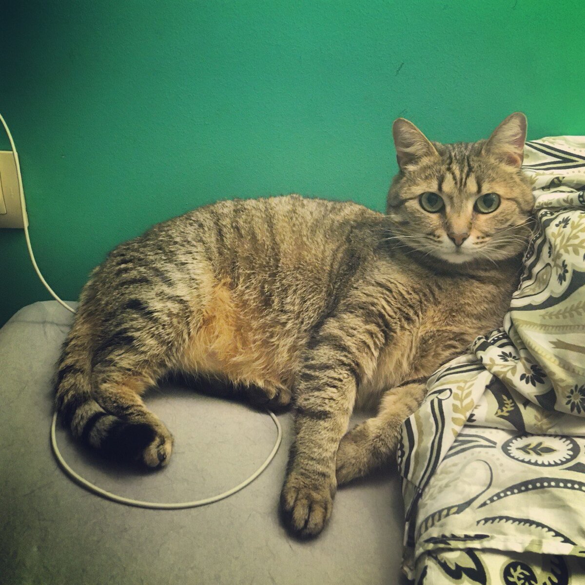 А это мой друг Боня