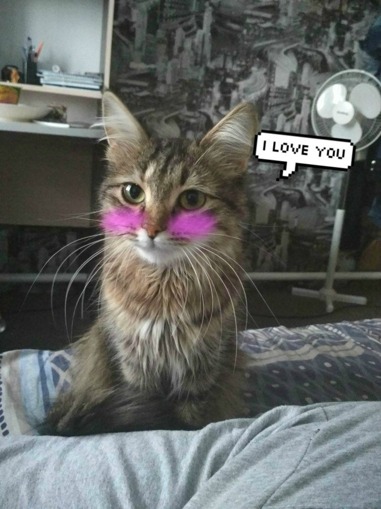 Та самая  киса