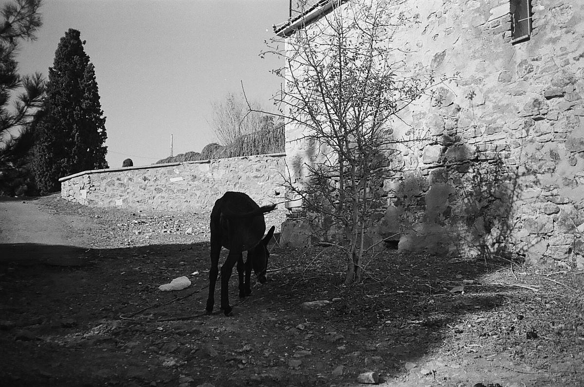 фото Сергей Цынгунов