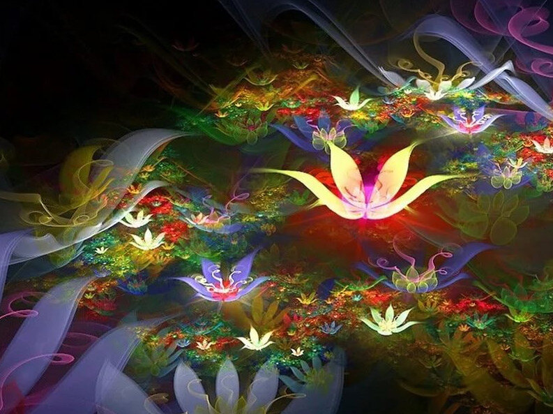 чудесные цветы