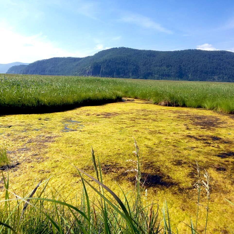 Хабаровский край