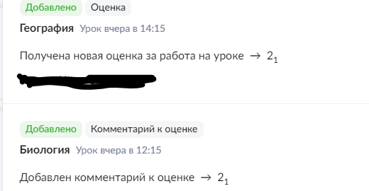                                     Выдержка из электронного дневника