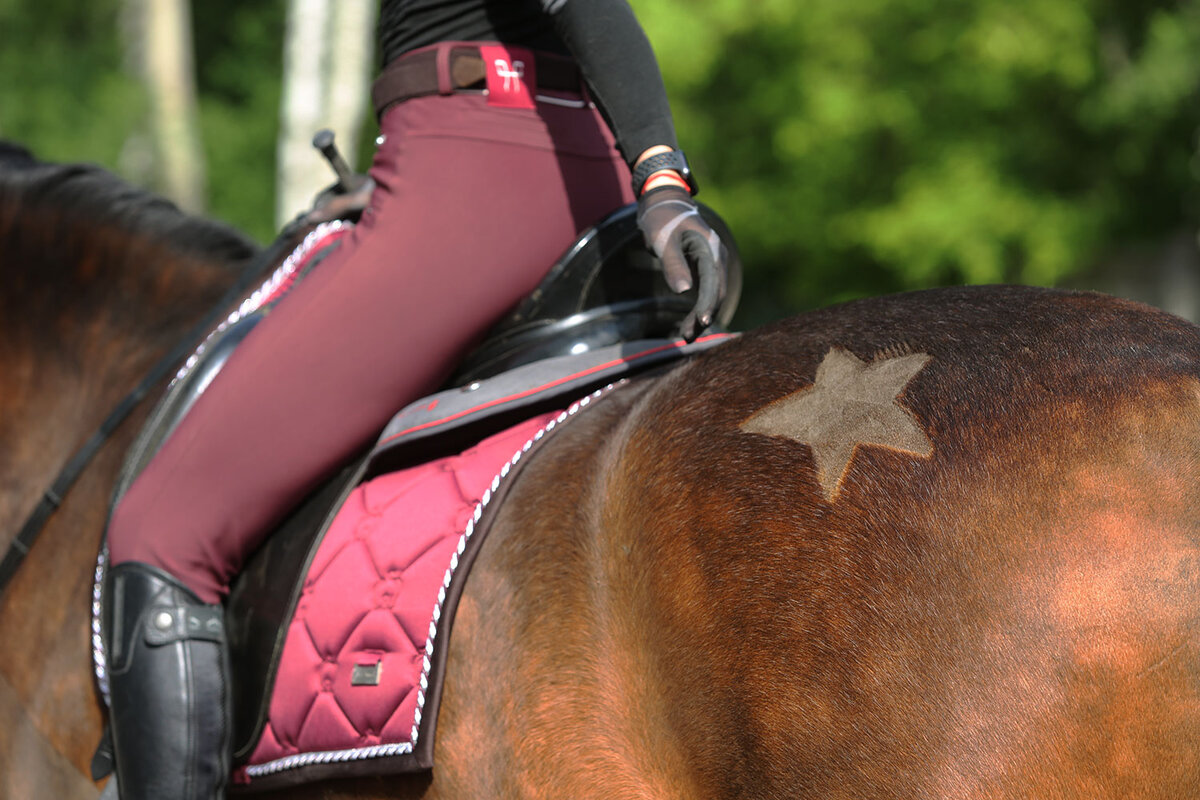 Увлекаюсь конным спортом