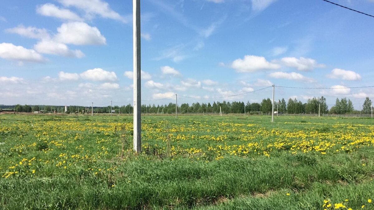 Поля маркиза Карабаса :)