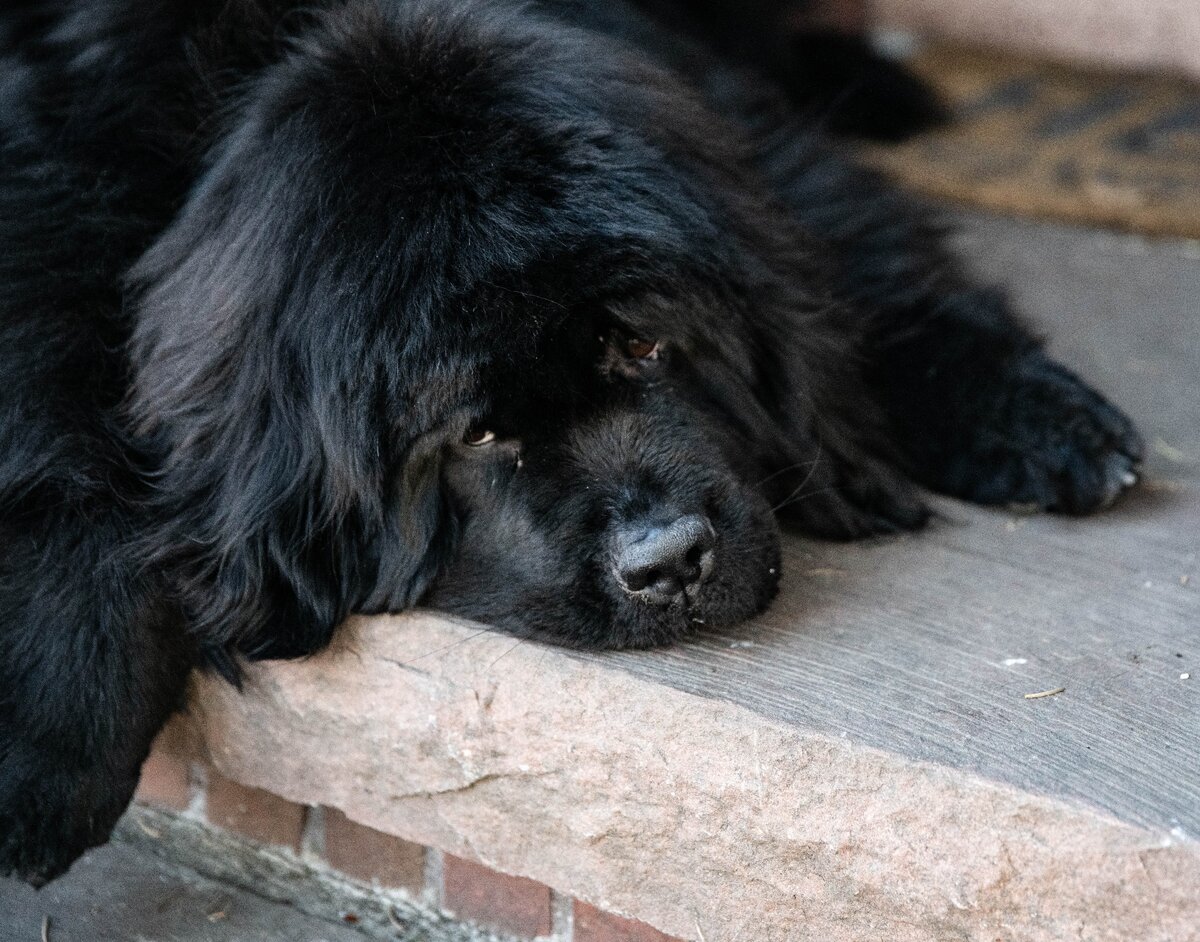 Изображение с сайта Piqsels