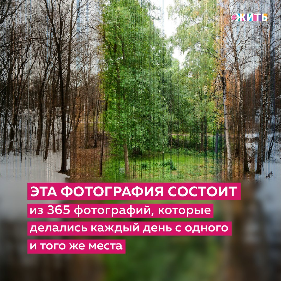 Природа завораживает своими фантастическими пейзажами, радует человеческий взор, приносит уйму положительных эмоций❤ 
И сегодня мы предлагаем Вам посмотреть на фото, которое поможет удостовериться в том, что красота природы уникальна в любую пору года.

Понравилось ли Вам фото? Поделитесь впечатлениями в комментариях👇

#жить #проектжить
