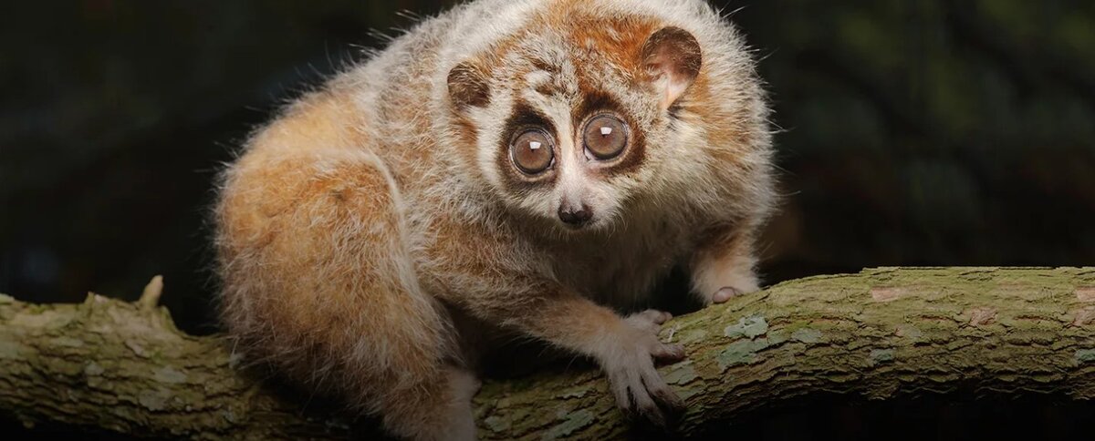 Фото находится в свободном доступе. Взято из сети Яндекс