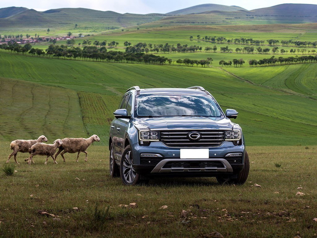 Источник: drom.ru