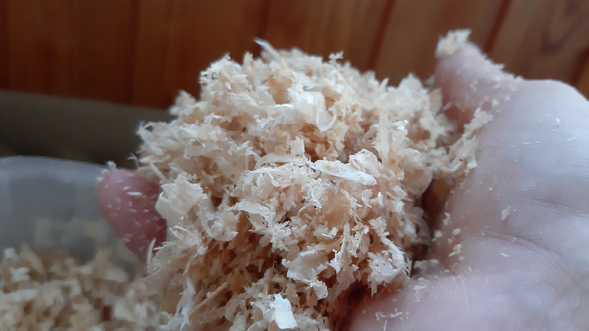 Сжимаем опилки. Не должна капать вода. Фото автора.