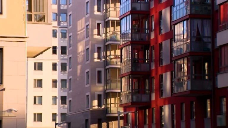 Фото: телеканал «Санкт-Петербург» 