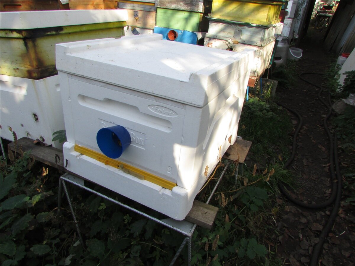 финский улей ППС на пасеке в сентябре