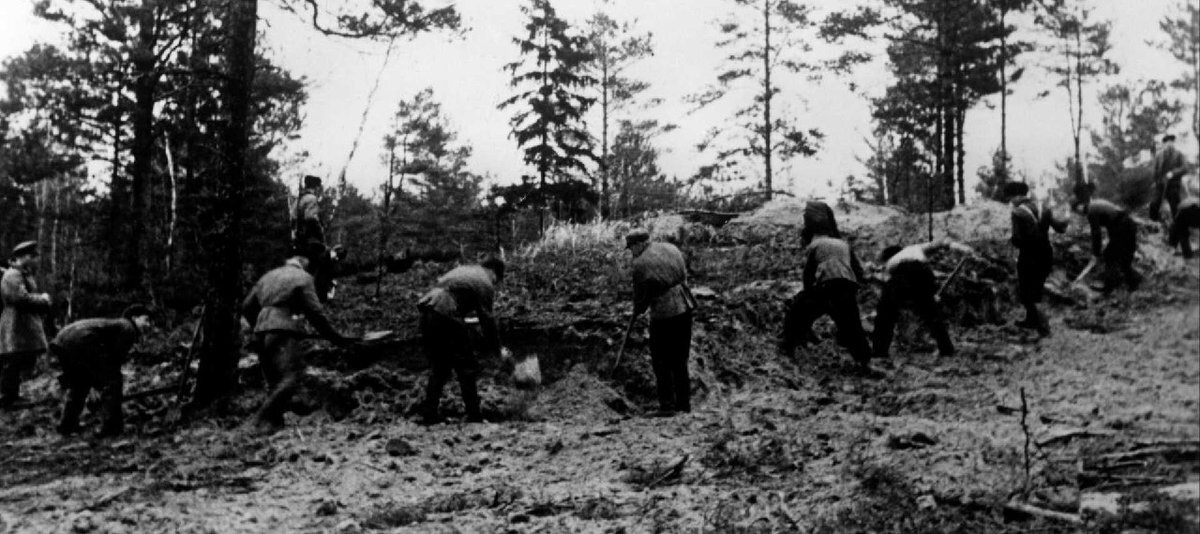 Раскопки на месте расстрела