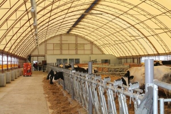 Коровник  Нальчике из металлического каркаса со световым коньком