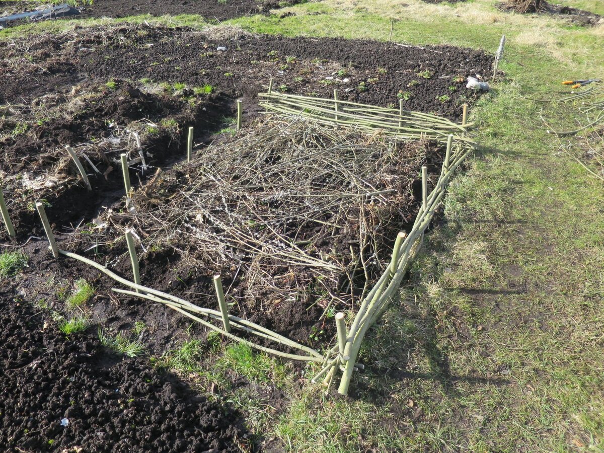 Пример защиты посевов от кур