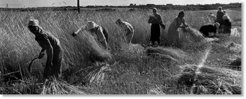 Последствия голода 1946