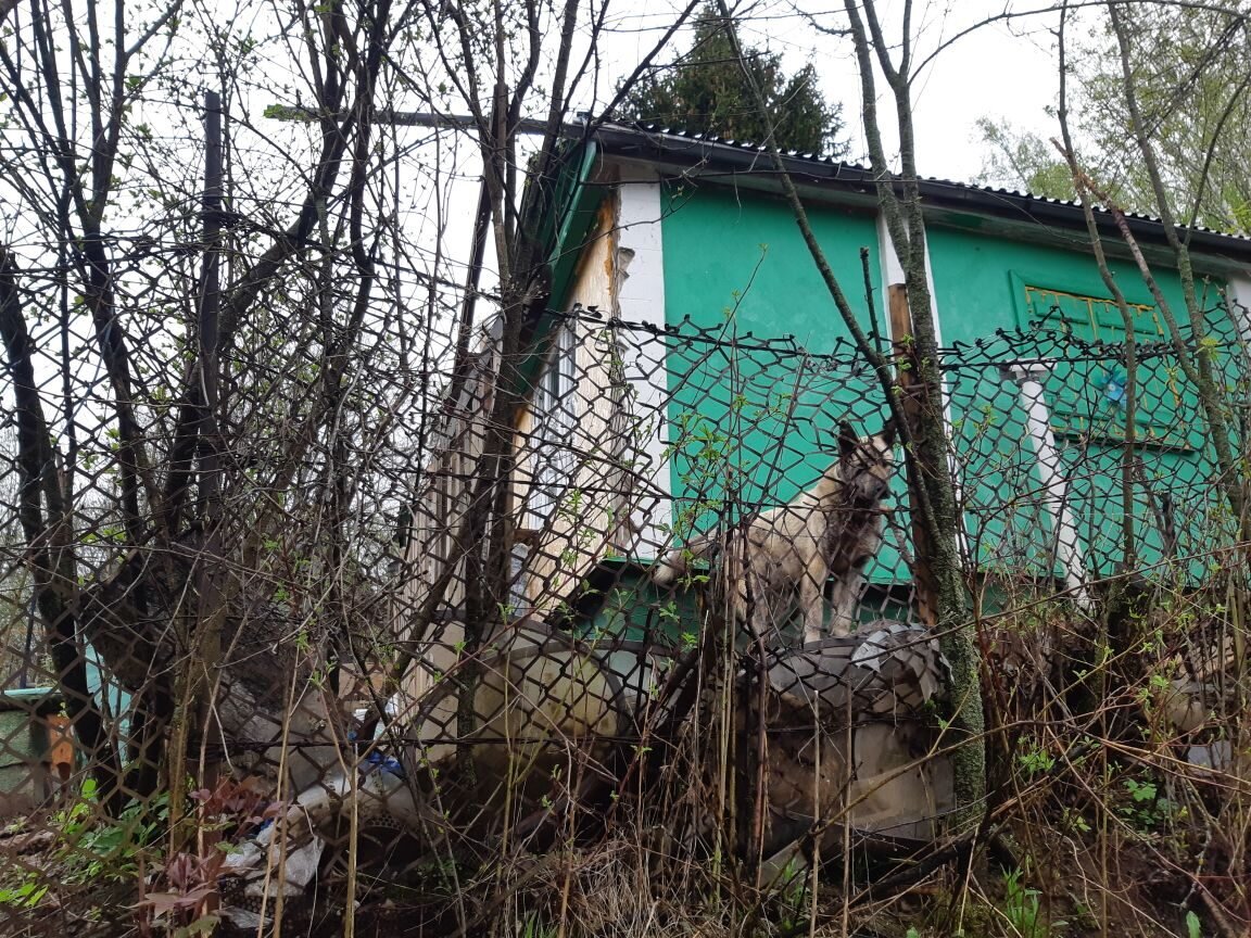 Так выглядит участок с дороги... и то я не на дороге стою, повыше поднялась... Как бы еще эту насыпь укрепить?