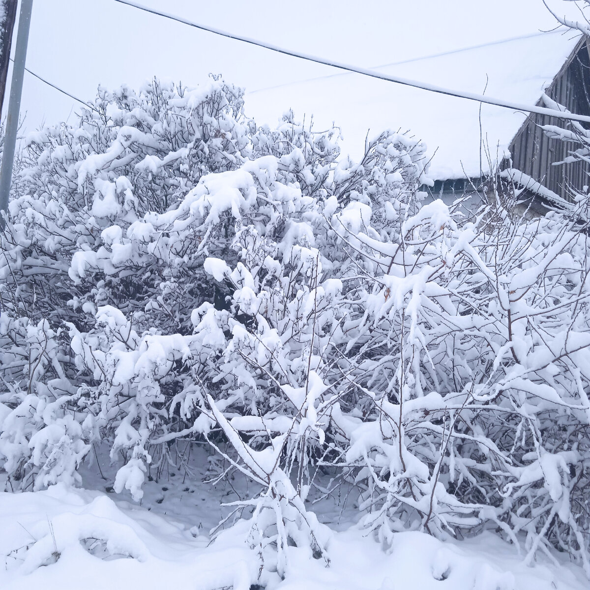 Не Техас, но снега много