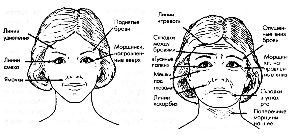 О чем говорит портрет. Эмоции и морщины на лбу физиогномика. Морщины между бровями физиогномика. Морщины на лице схема. Физиогномика морщины на лице.