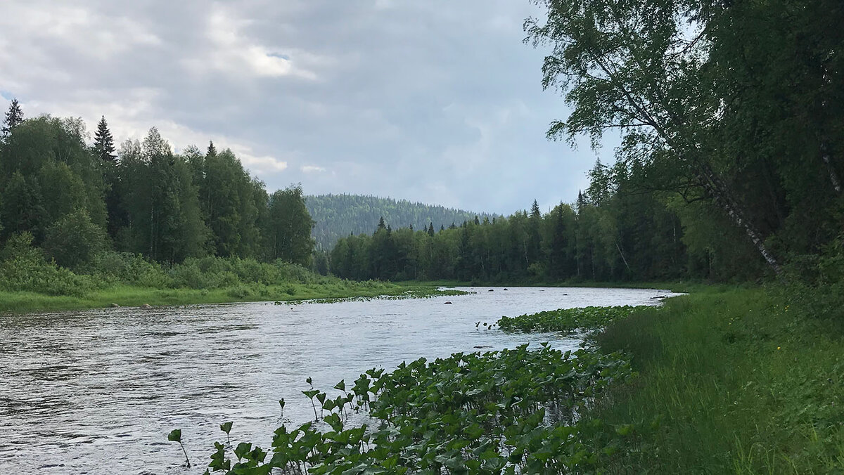 Кадь у впадения в Яйву