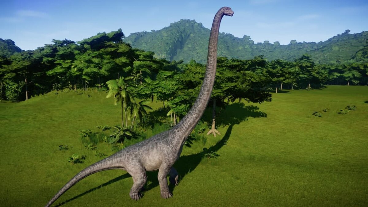 Фото: tvextra.ru