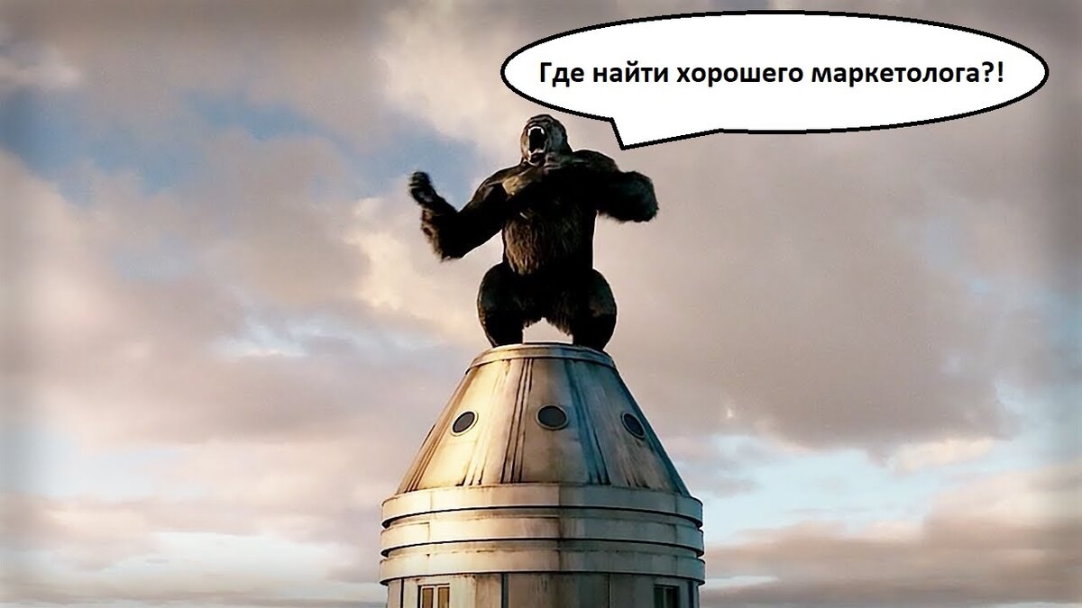 Хороший маркетолог, даже если он новичок, без работы не останется