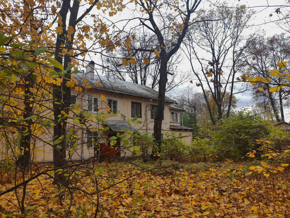 Поселок художников «Сокол». Удивительное место в центре города. Мечта  городского жителя? | Обо всем с 