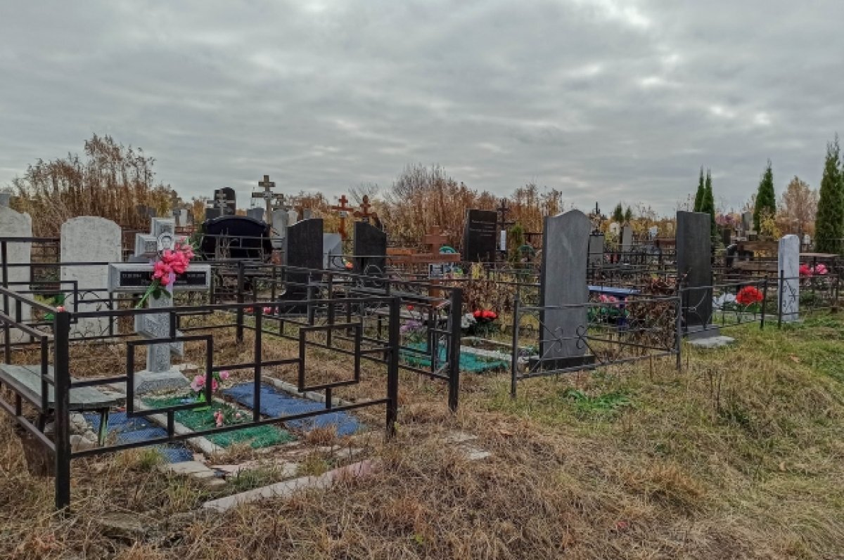    Новые кладбища в Туле разместят на 55,6 га земли