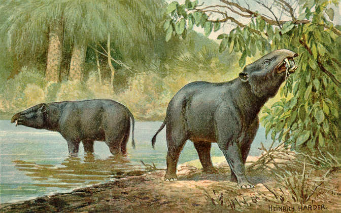 Реконструкция меритериев в естественной среде обитания. Автор: Heinrich Harder "The Wonderful Paleo Art of Heinrich Harder"