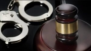    Фото: 5tv.ru Наталья Анисеева