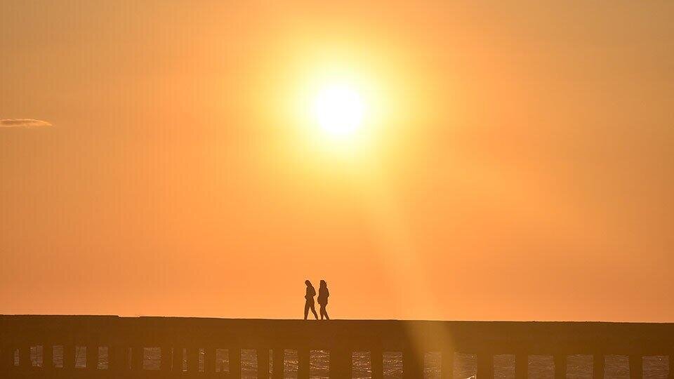 Фото: © Известия/Александр Полегенько