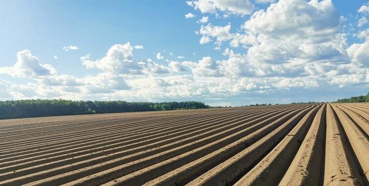   В России произвесткуют почти 100 тысяч га пашни с господдержкой в 2023 году