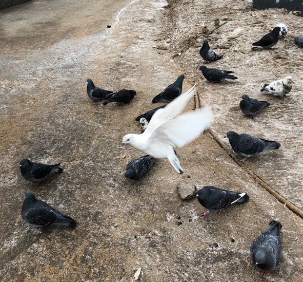 Фото автора.