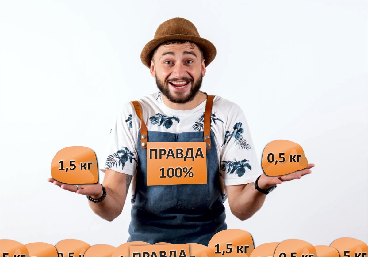 Фото с сайта https://ru.freepik.com + дизайн автора
