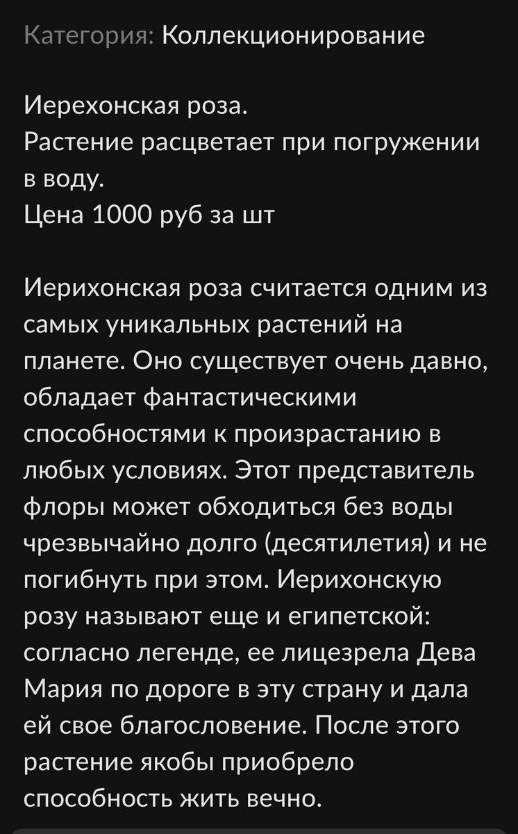 Текущий обзор новинок и интересных предложений касательно комнатных  растений на Авито 🪴 | Авито и Цветы | Дзен