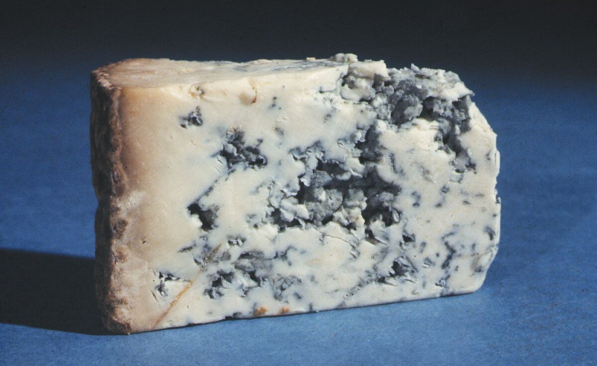 Сыр с голубой плесенью Blue Cheese